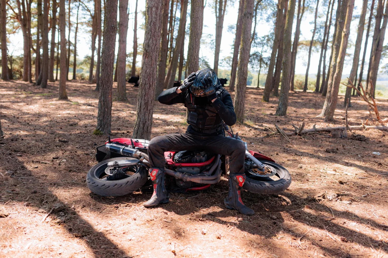 Picture of a man sitting on a bike in a woods
