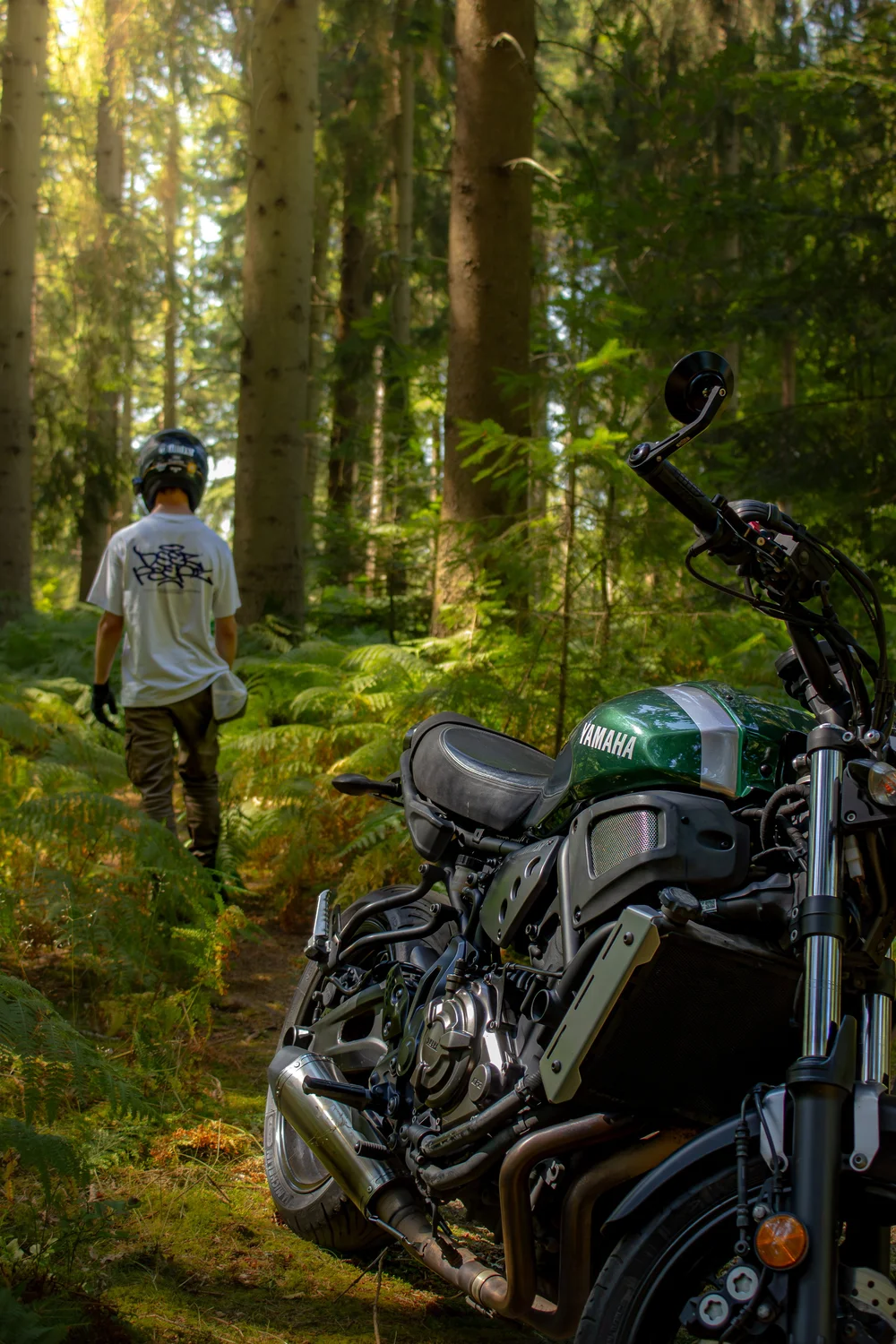 New Forest Shoot